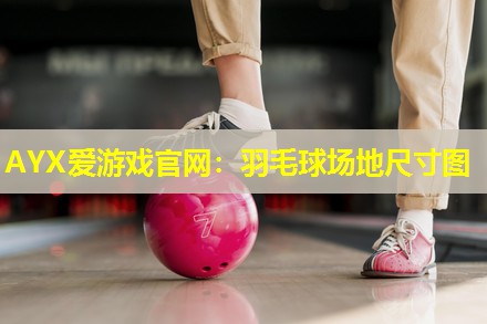羽毛球场地尺寸图 羽毛球场地尺寸图