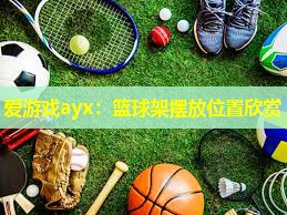 篮球架摆放位置欣赏 篮球架摆放位置欣赏