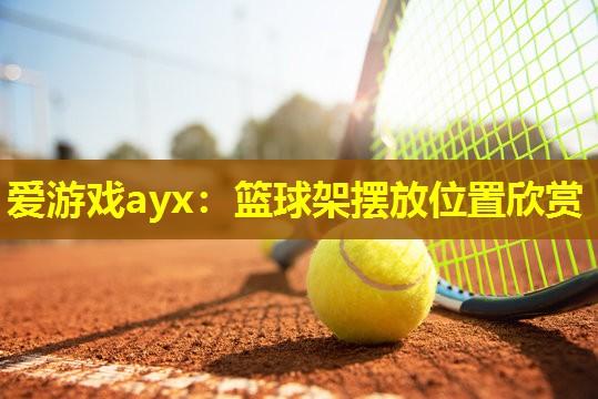 篮球架摆放位置欣赏 篮球架摆放位置欣赏