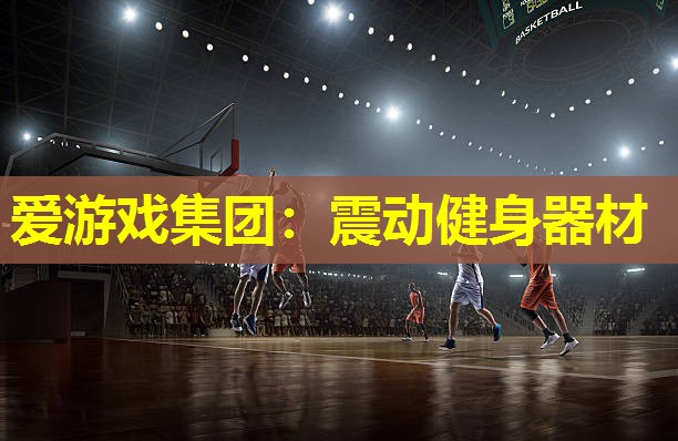 震动健身器材 震动健身器材